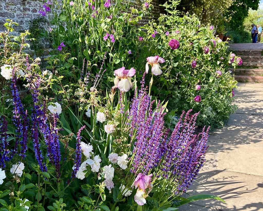 Nolsen bloemenreis (4)