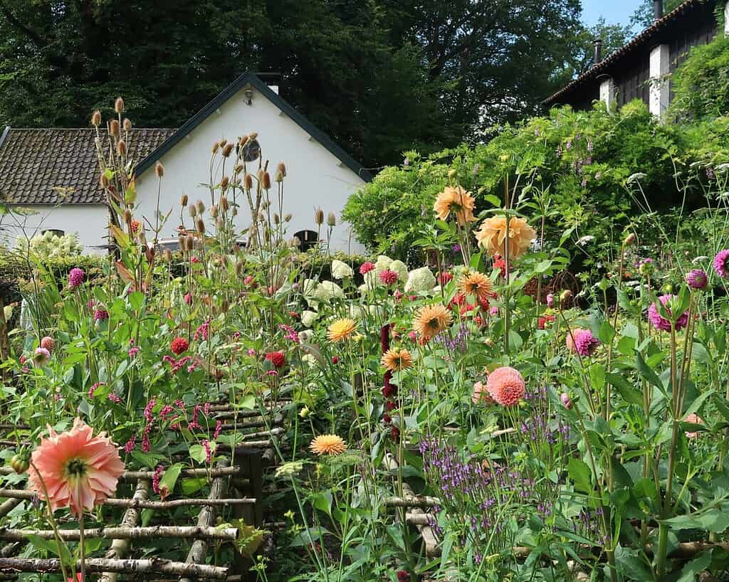 Nolsen bloemenreis (6)