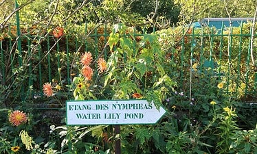 Een wit pijlvormig bord met groene tekst ETANG DES NYMPHEAS WATER LILY POND staat tussen groen gebladerte en bloeiende bloemen, met een groen hek op de achtergrond.
