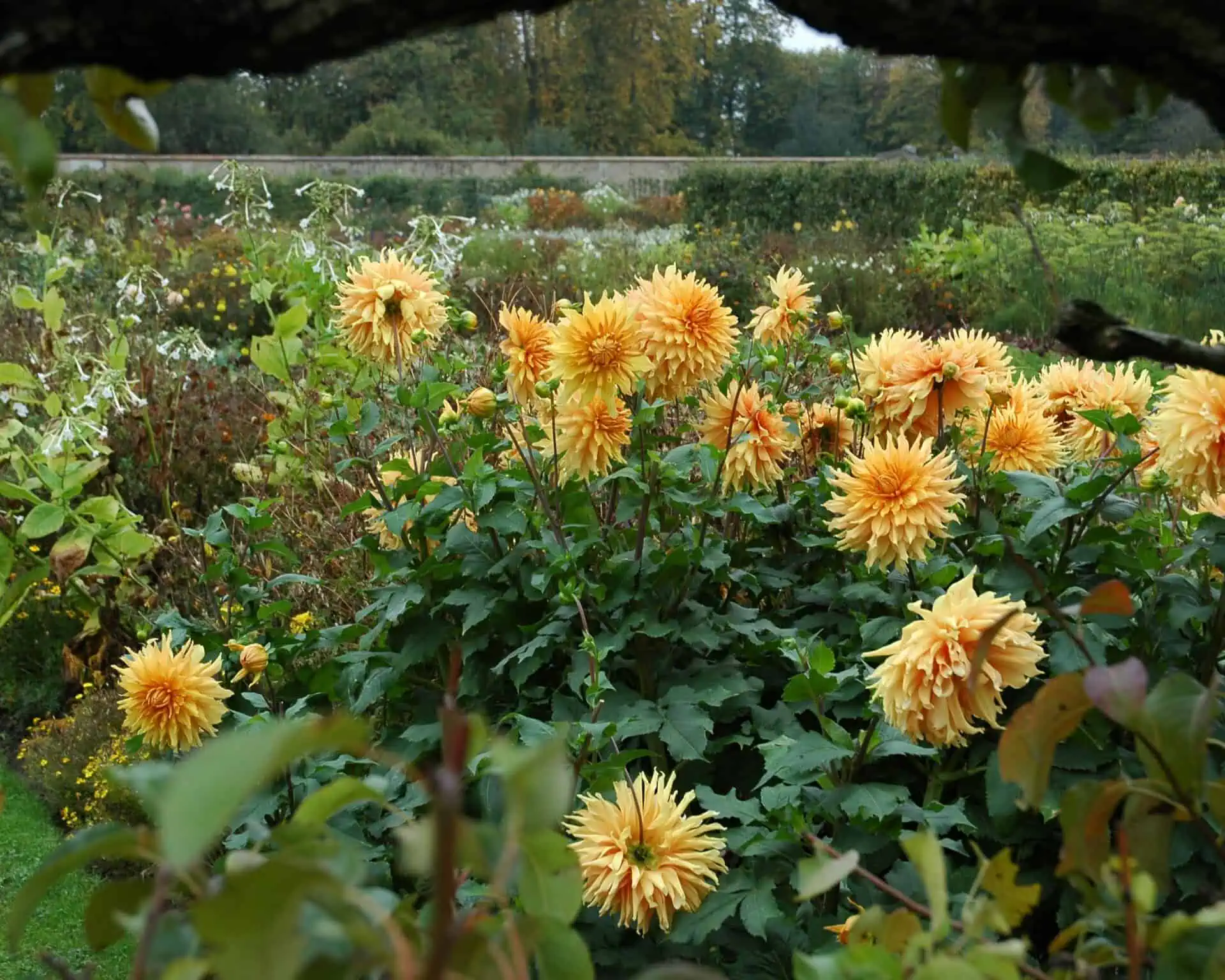 Art Nouveau Parijse metro-ingang op station Étienne Marcel, met versierde groene balustrades, een plattegrond en mensen die vlakbij lopen; klassieke Parijse gebouwen met balkons op de achtergrond.