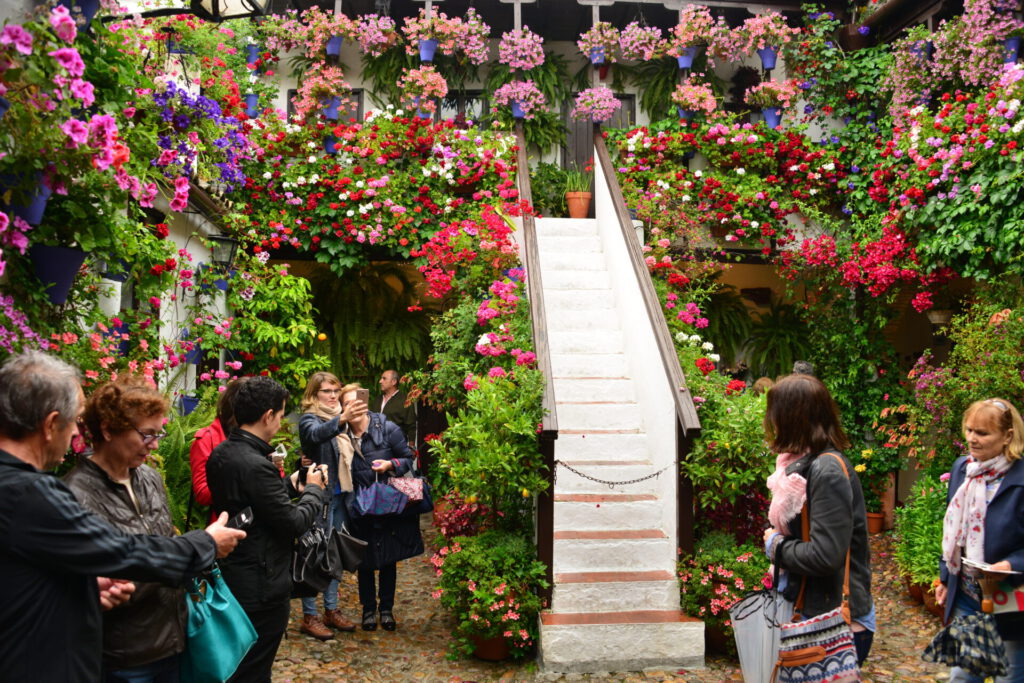 Patio's in Córdoba