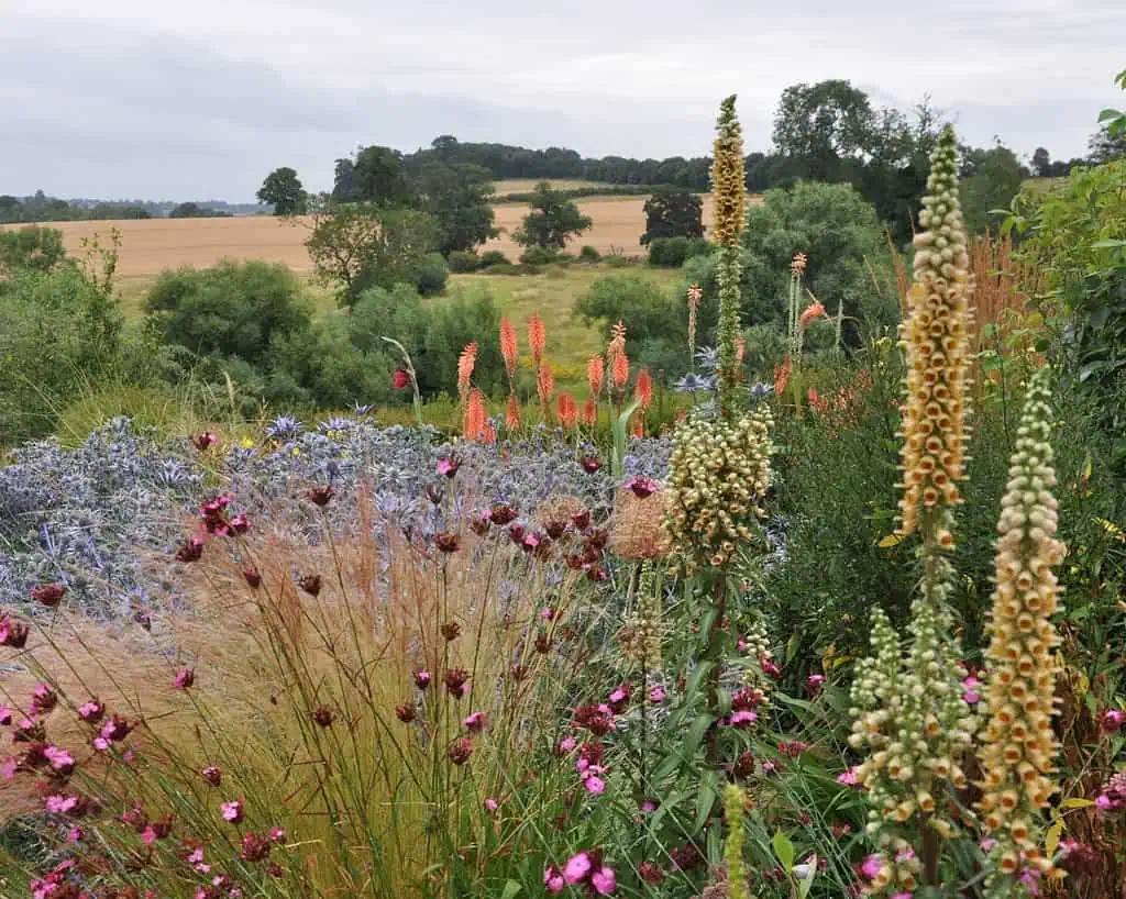 Een kleurrijke wilde bloementuin met hoge grassen en levendige bloemen op de voorgrond, velden en bomen op de achtergrond onder een bewolkte hemel.