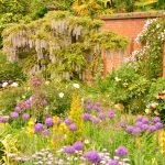 RHS Wisley Gardens