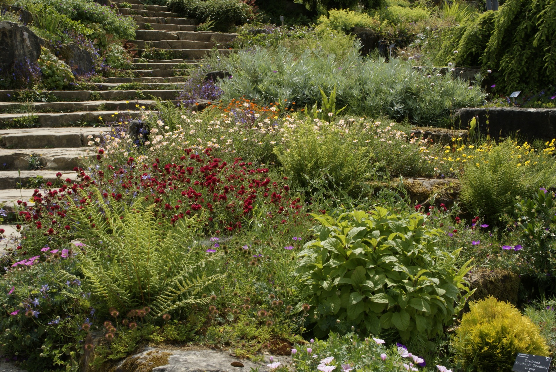 RHS Wisley Gardens | Boek nu bij Garden Tours
