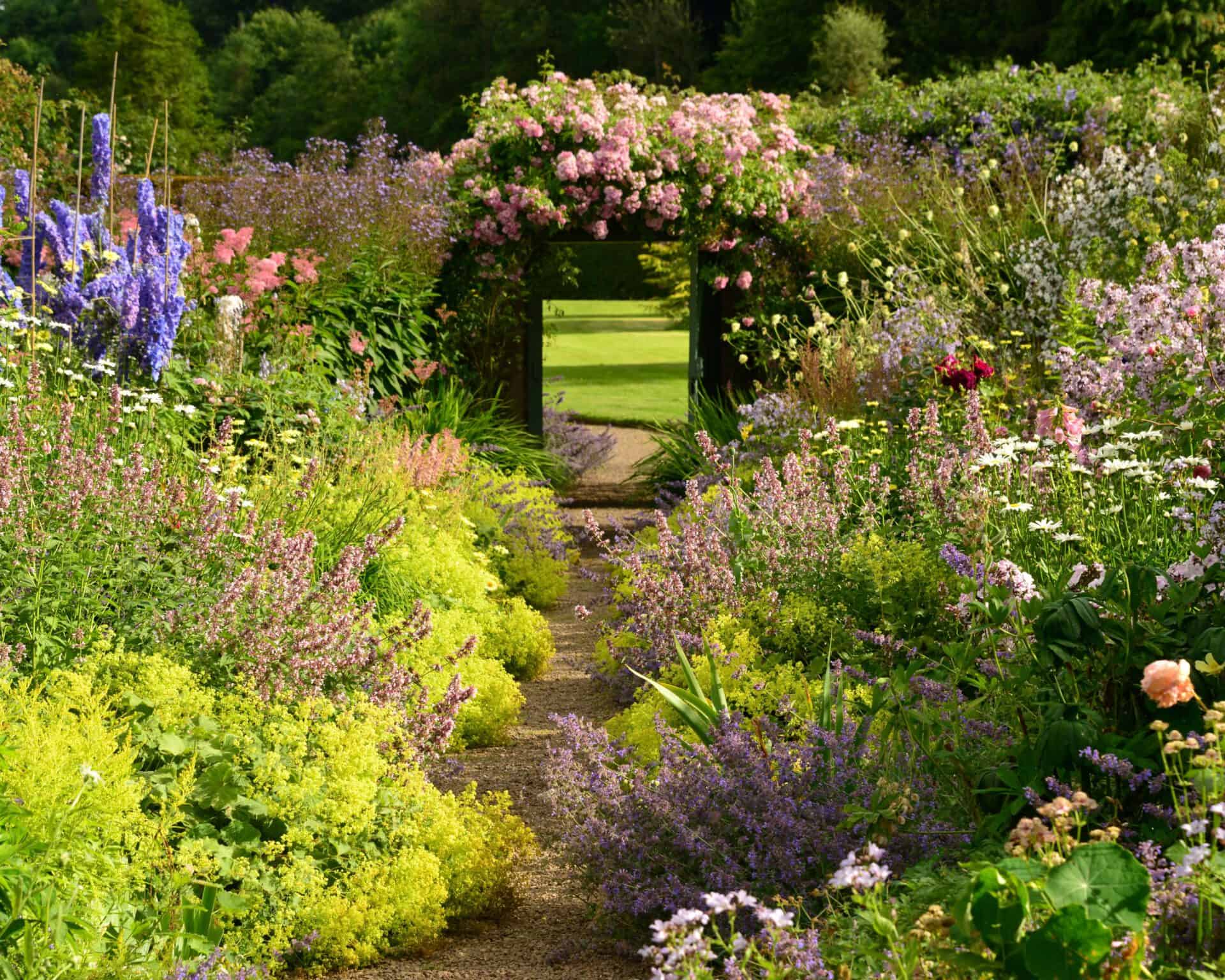 Een tuinpad in Oost-Schotland, omzoomd met kleurrijke bloemen en weelderig groen, leidt naar een met rozen overdekte boog. Achter de boog roepen gemanicuurde gazons en bomen de charme op van afgelegen privétuinen.