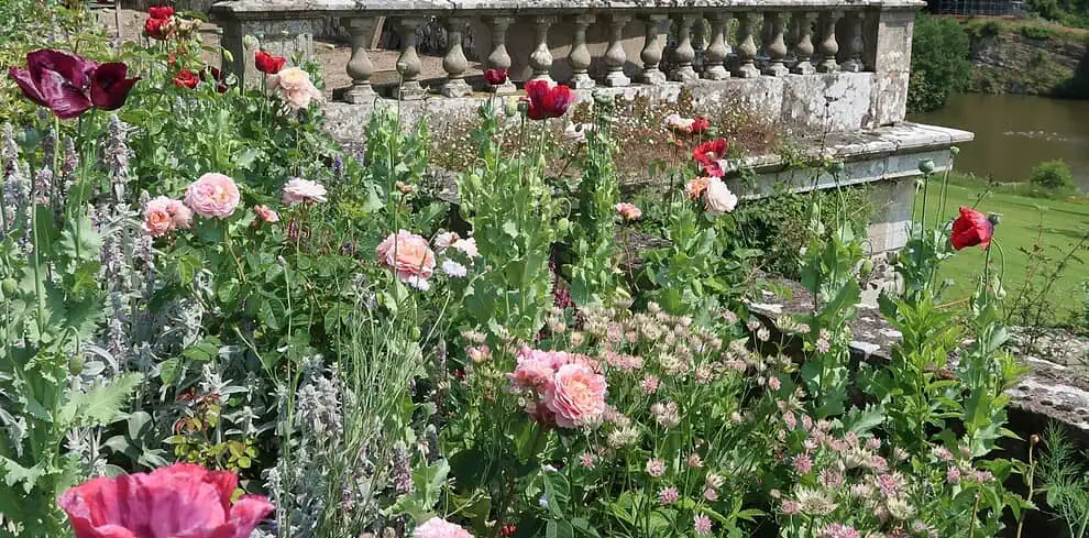 Een levendige bloementuin met rode en roze bloemen groeit naast een oude stenen balustrade in Shropshire, met uitzicht op een weelderig groen landschap en een vijver onder een helderblauwe hemel - perfect om het rustig aan te doen.