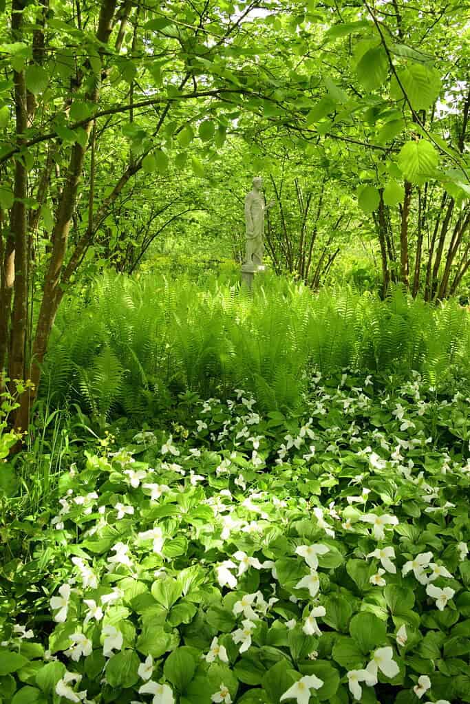 Sissinghurst Castle Gardens