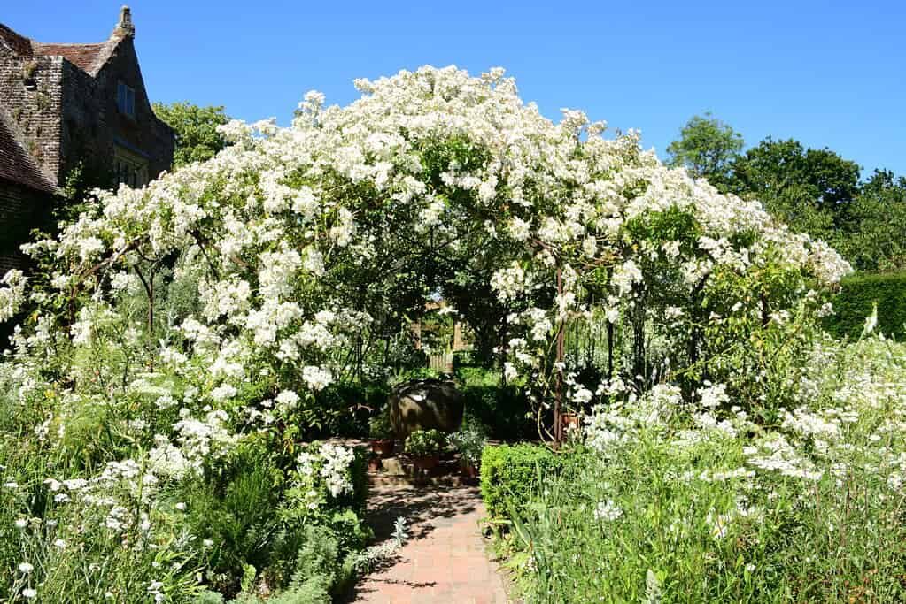 Sissinghurst Castle Gardens