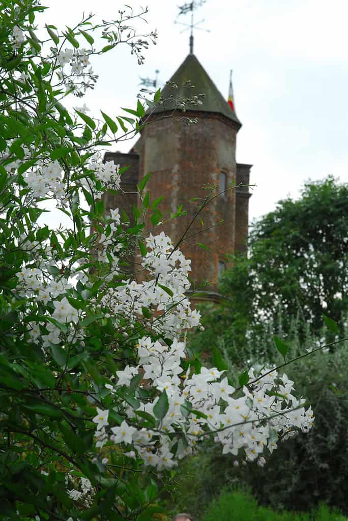 Sissinghurst Castle Gardens
