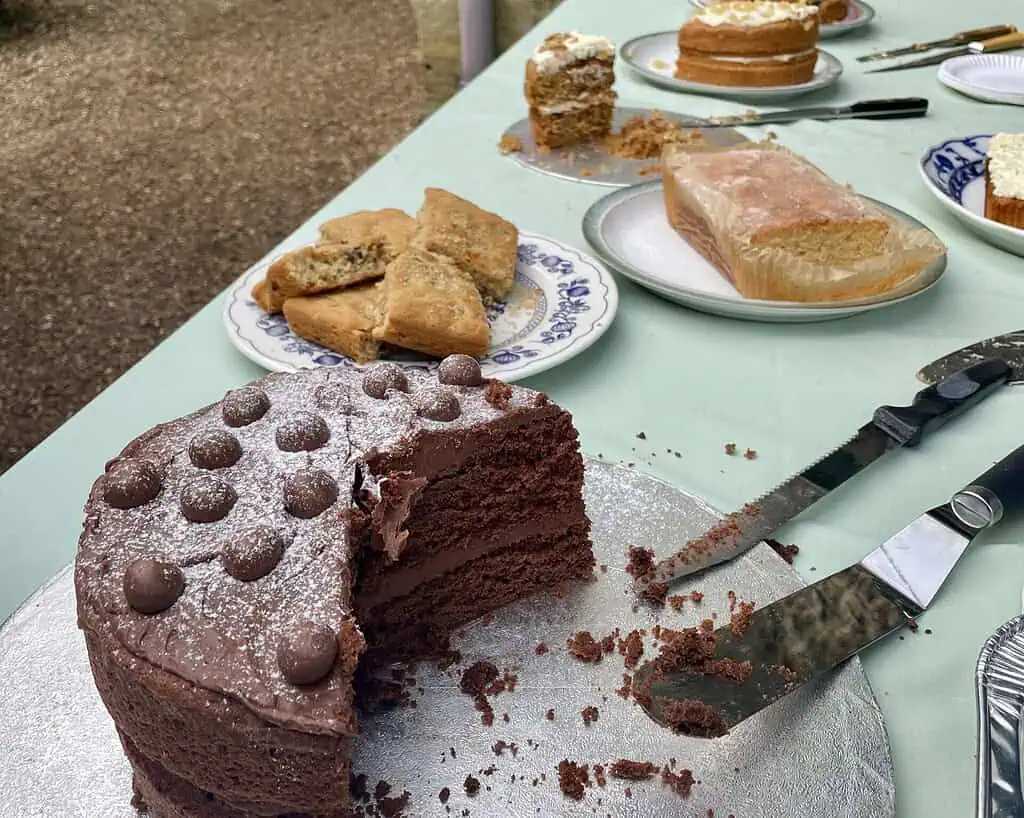 Op een tafel in Shaftesbury staat een chocoladetaart waarvan een plakje ontbreekt, naast borden citroenbrood, scones en ander gebak, allemaal buiten gerangschikt op een lichtgroen tafelkleed - perfect voor een Sneeuwklokjesreis-picknick.