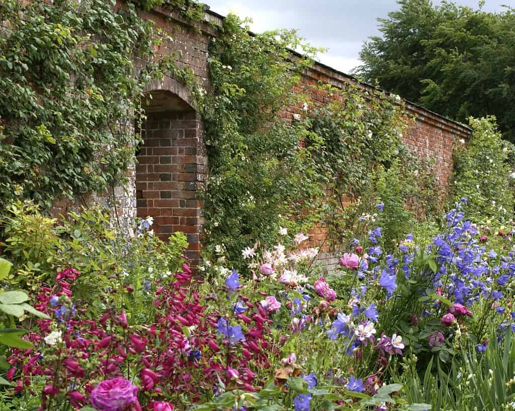 Een weelderige tuin met kleurrijke bloemen in roze, paarse en blauwe tinten groeit naast een hoge bakstenen muur bedekt met klimplanten. Een gewelfde deuropening leidt door de muur en op de achtergrond zijn bomen zichtbaar.