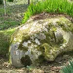 The Lost Gardens of Heligan