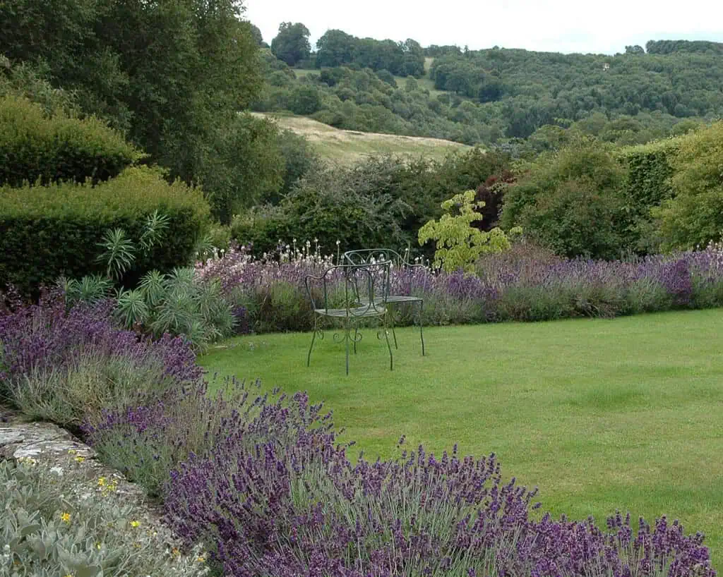 Een metalen stoel staat op een keurig gemaaid gazon, omringd door bloeiende paarse lavendel, met groene struiken en glooiende heuvels op de achtergrond onder een gedeeltelijk bewolkte hemel.