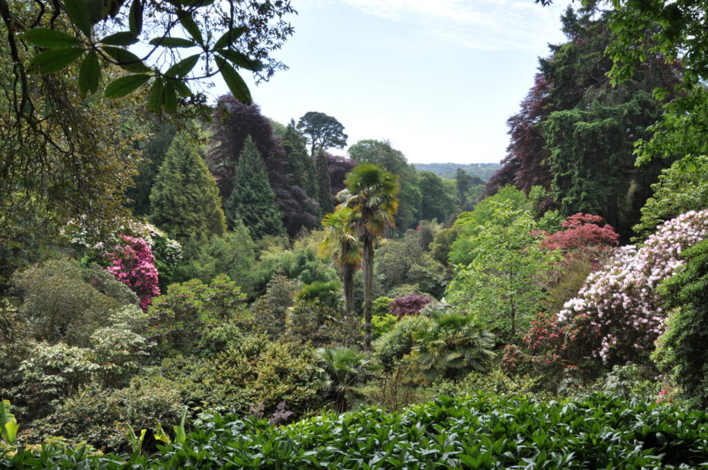 Trebah Garden