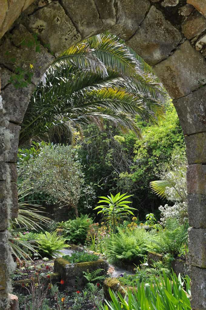 Tresco Abbey Garden