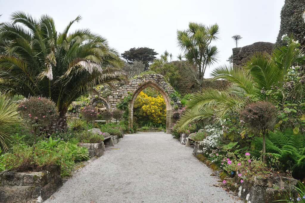 Tresco Abbey Garden