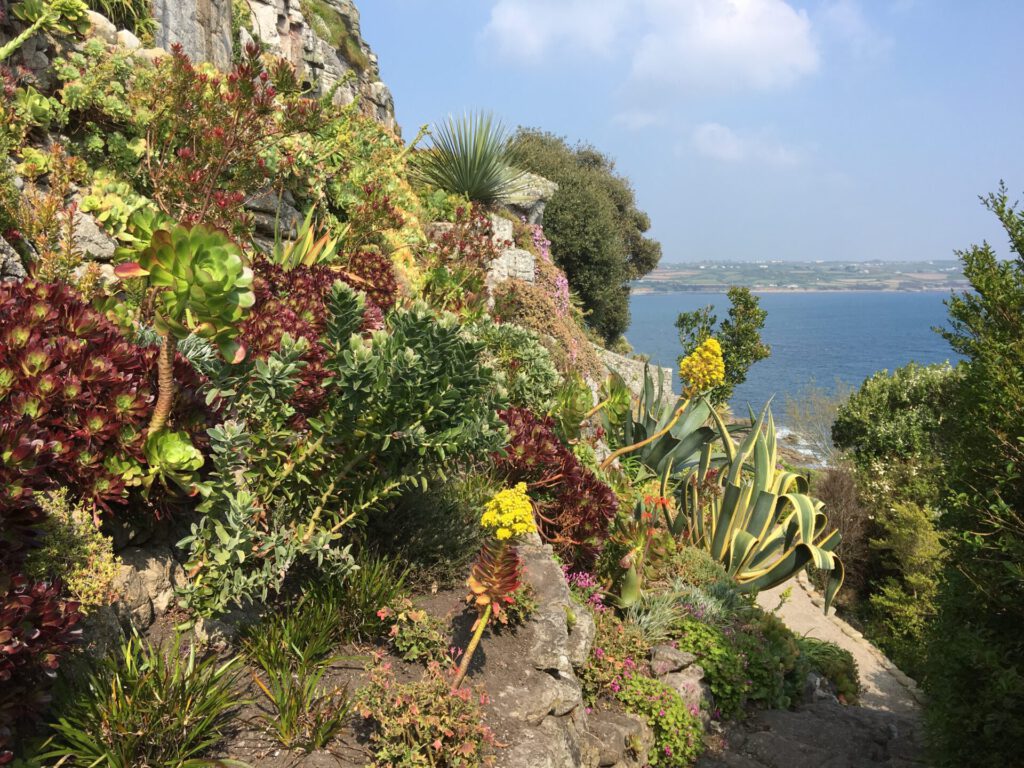 Tresco Abbey Gardens