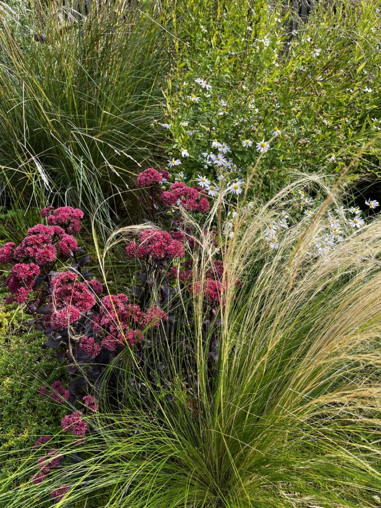 Tuinen van Mien Ruys