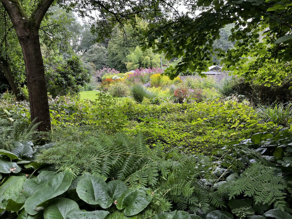 Tuinen van Mien Ruys