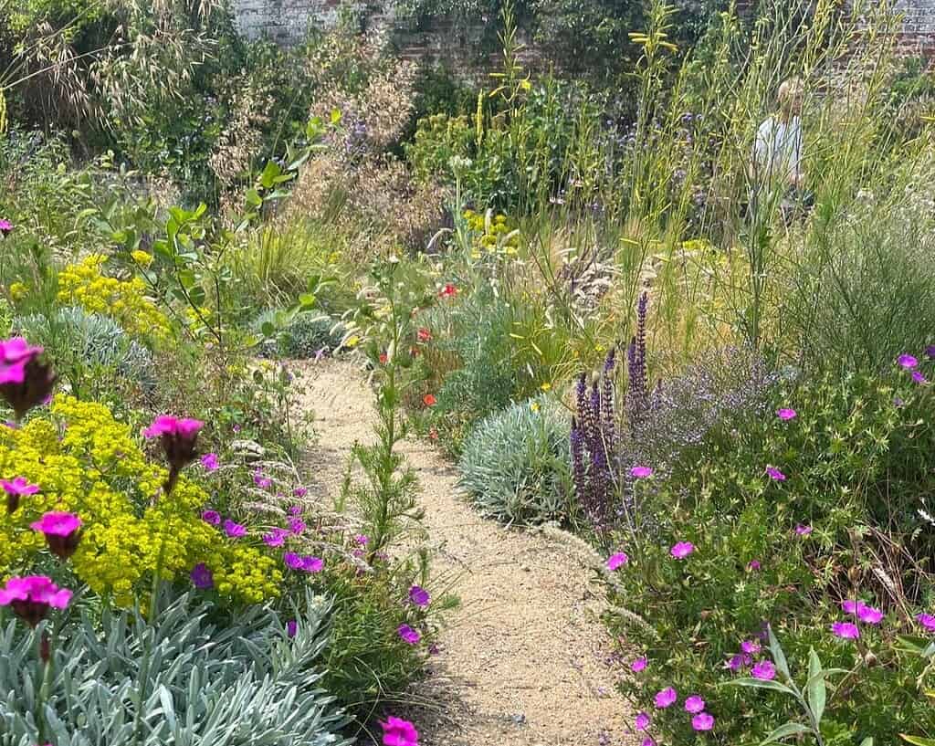Een kronkelend zandpad loopt door een weelderige, kleurrijke tuin geïnspireerd door Tuinen van de toekomst, vol met paarse, gele en roze wilde bloemen en hoge grassen. Op de achtergrond is een persoon gedeeltelijk zichtbaar tussen het groen.
