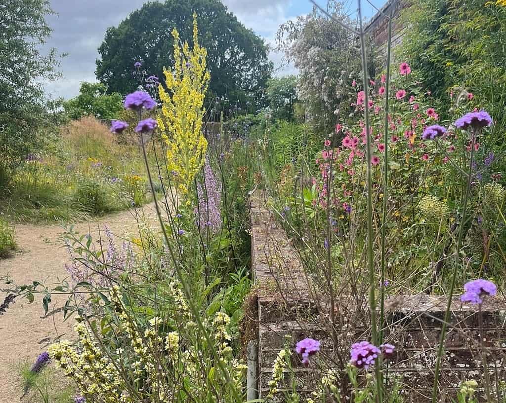Een tuinpad met wilde bloemen in paars, geel en roze, begroeid groen en een grote boom onder een halfbewolkte hemel - een inspirerende blik in de tuinen van de toekomst.