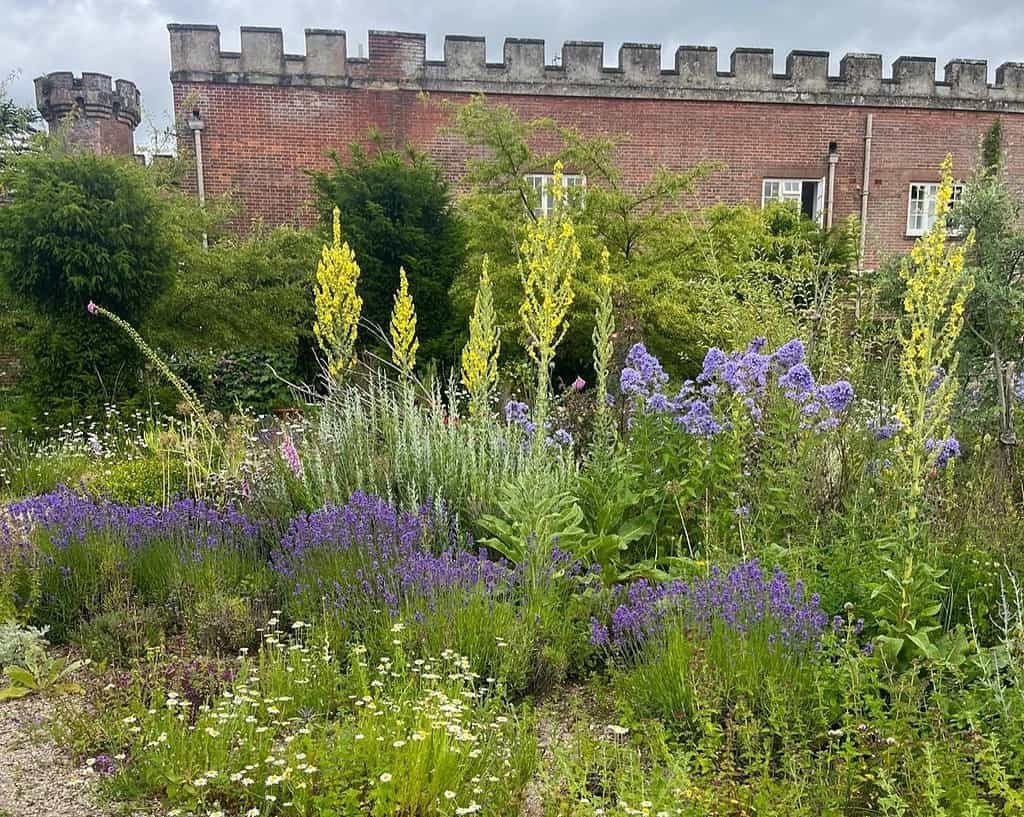 Een weelderige tuin geïnspireerd op Tuinen van de toekomst, met hoge gele en paarse bloemen, groene struiken en wilde grassen bloeit voor een oud bakstenen gebouw met gekanteelde muren en witomrande ramen onder een bewolkte hemel.