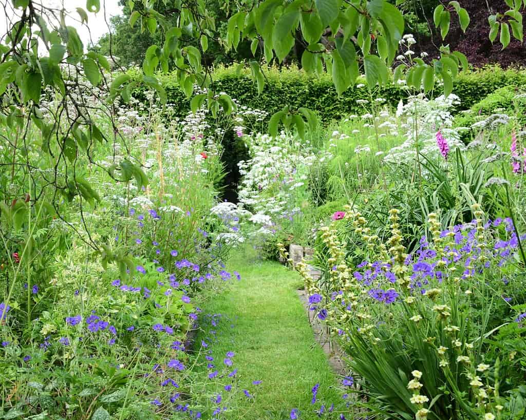 Een weelderig tuinpad omzoomd met groen gras en omzoomd door overvloedige wilde bloemen in paars, wit en roze, met daarboven dicht gebladerte en overhangende boomtakken - een betoverend visioen geïnspireerd op de tuinen van de toekomst.