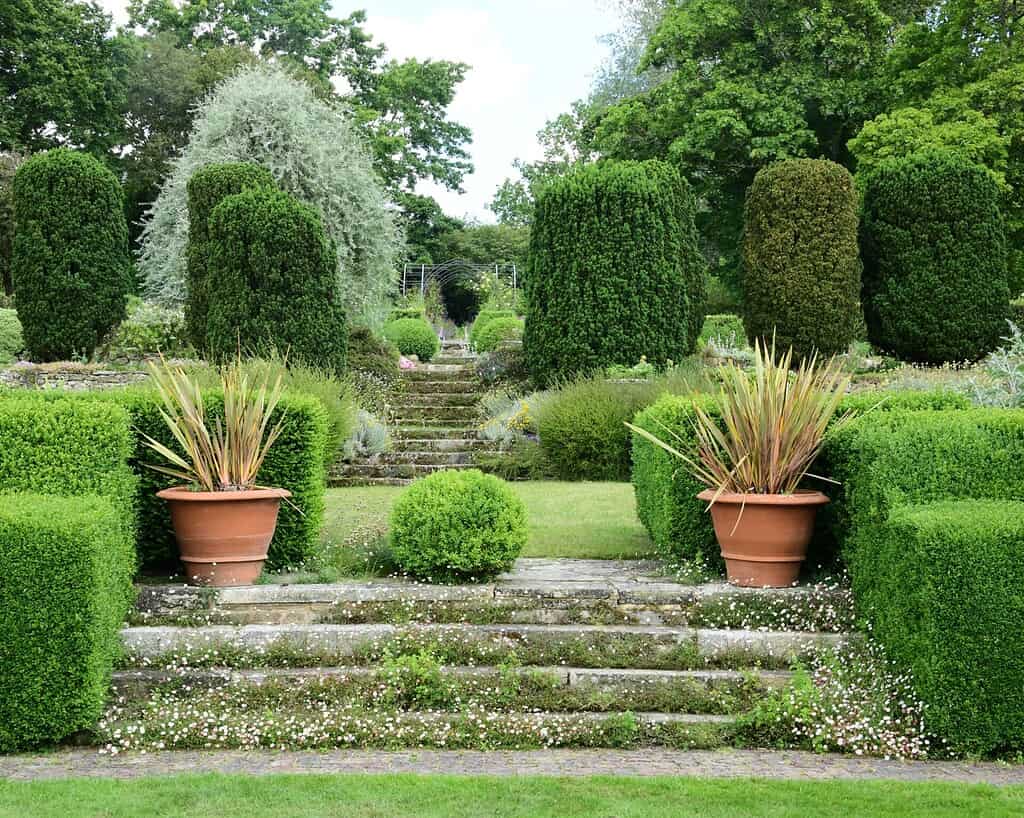 Een formele tuin met keurig gesnoeide heggen, grote planten in potten en stenen trappen die door weelderige bomen en verzorgd gazon slingeren - een showcase van moderne tuinontwerpen die de elegantie van toekomst tuinen belichamen.