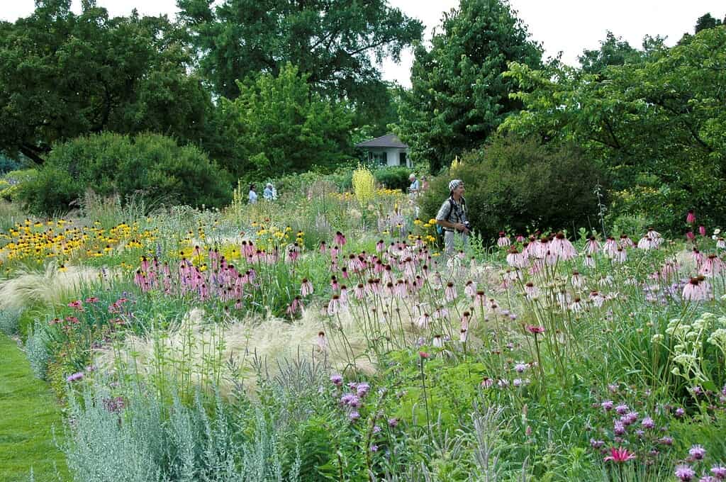 Tuinenpracht in hart van duitsland (7)