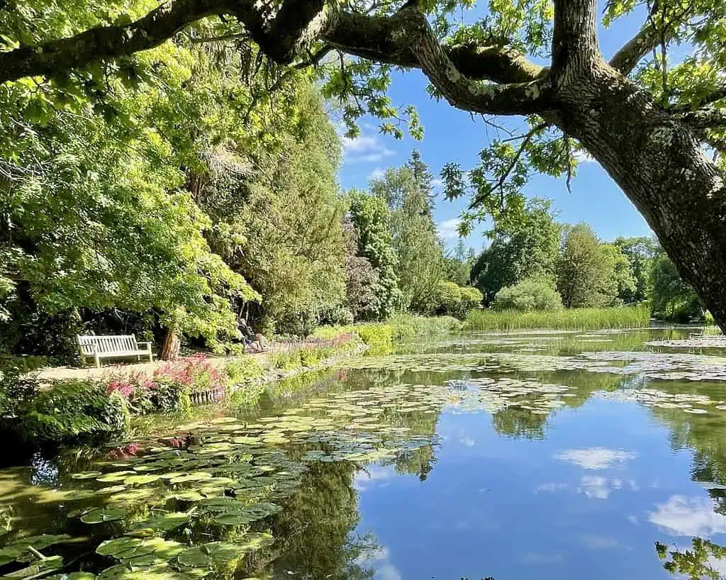 Een rustige vijver met waterlelies weerspiegelt blauwe lucht en wolken, omringd door weelderige groene bomen en kleurrijke bloemen in de buurt van Bath in Zuid-Engeland; een houten bankje staat rustig aan de oever in de schaduw van grote takken.