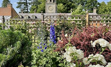 Een weelderige tuin met bloeiende witte, roze en blauwe bloemen op de voorgrond en een stenen gebouw met een klokkentoren en schoorstenen op de achtergrond in Bath, Zuid-Engeland, omringd door groene bomen onder een blauwe lucht.