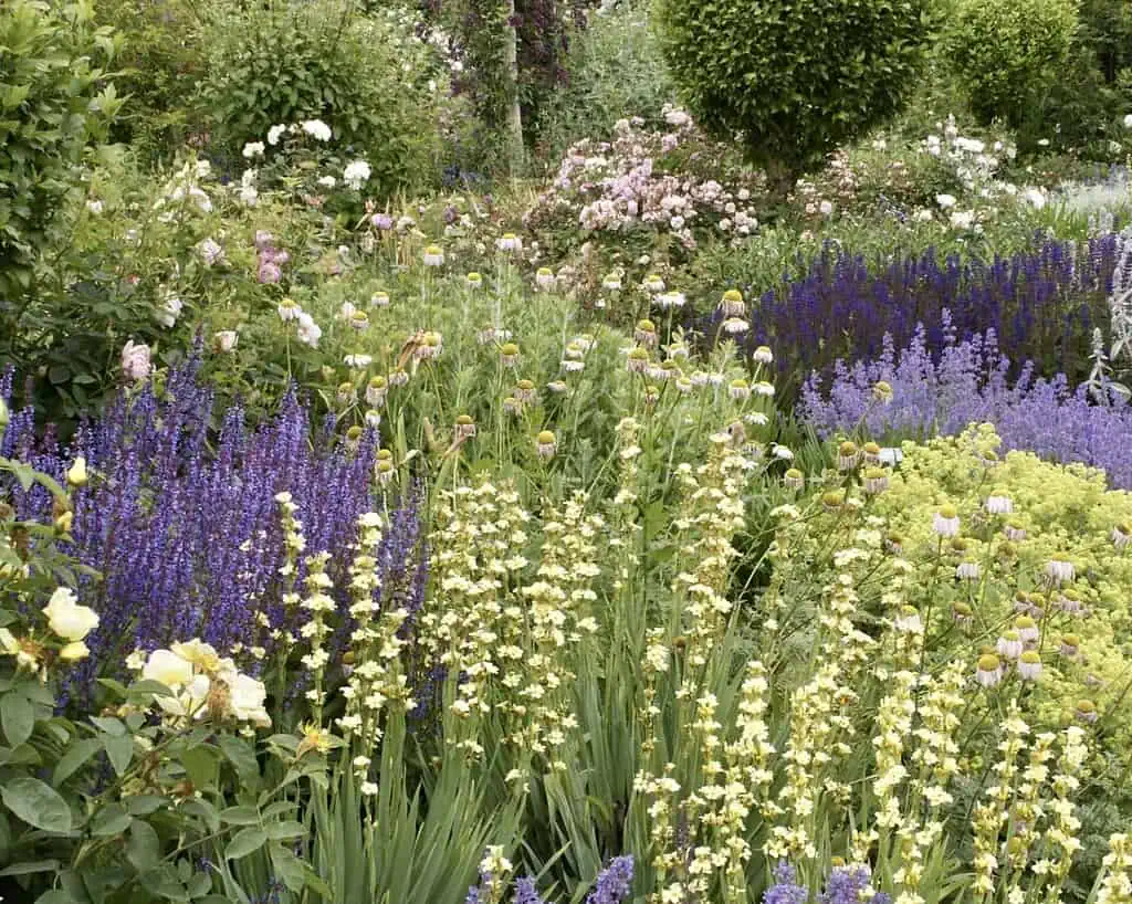 Een weelderige tuin in Zuid-Engeland, gevuld met een verscheidenheid aan bloeiende bloemen in paarse, gele en roze tinten, omringd door groen gebladerte en keurig gesnoeide struiken op een heldere dag.