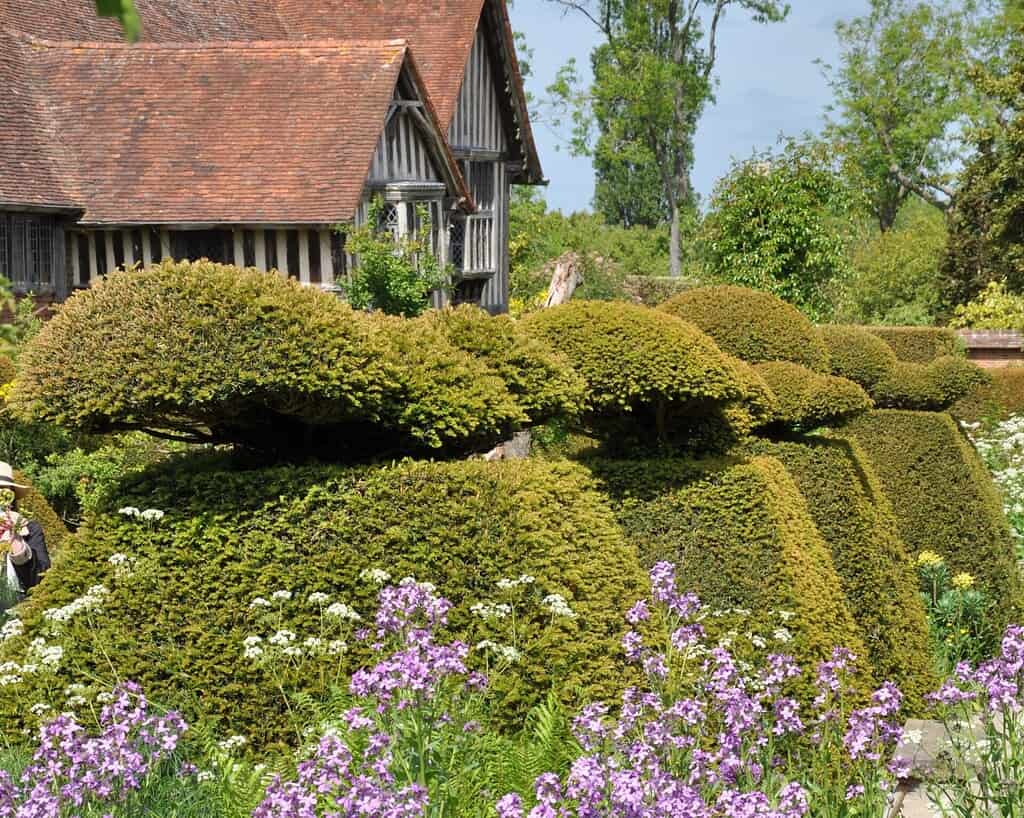 Vormsnoeiplanten in geometrische vormen en ronde vormen staan in een weelderige tuin die doet denken aan de Chelsea Flower Show, met paarse en witte bloemen naast een rustiek houten huis met een rood pannendak. Bomen rijzen op in de achtergrond.