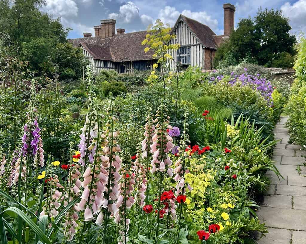 Een weelderige cottagetuin met bloeiende vingerhoedskruid, rode klaprozen en kleurrijke bloemen grenst aan een stenen pad en weerspiegelt de levendige displays van de Chelsea Flower Show voor een historisch vakwerkhuis onder een gedeeltelijk bewolkte hemel.