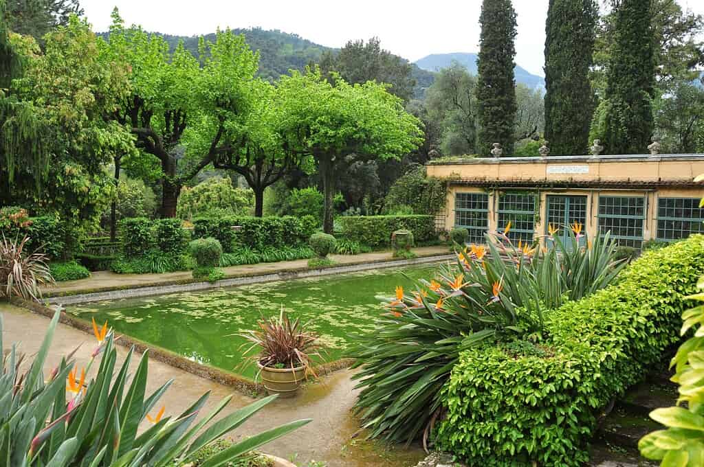 Een weelderige tuin met een rechthoekige vijver met groen water, omringd door paradijsvogelplanten, lommerrijke bomen en heggen, met een gebouw en bergen zichtbaar op de achtergrond.