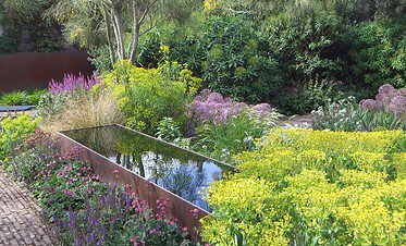 Een rechthoekige spiegelende waterpartij ligt tussen weelderige, kleurrijke tuinplanten en wilde bloemen in een Groei & Bloei tuin, omringd door groene struiken en bomen onder natuurlijk daglicht.