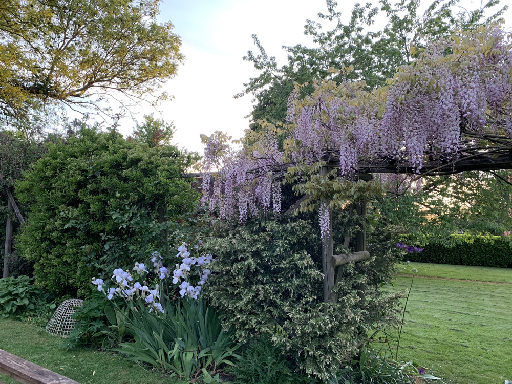 groei en bloei tuin en natuur (2)
