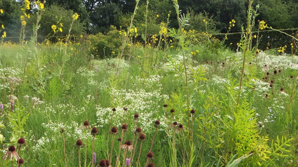 groei en bloei tuin en natuur (3)