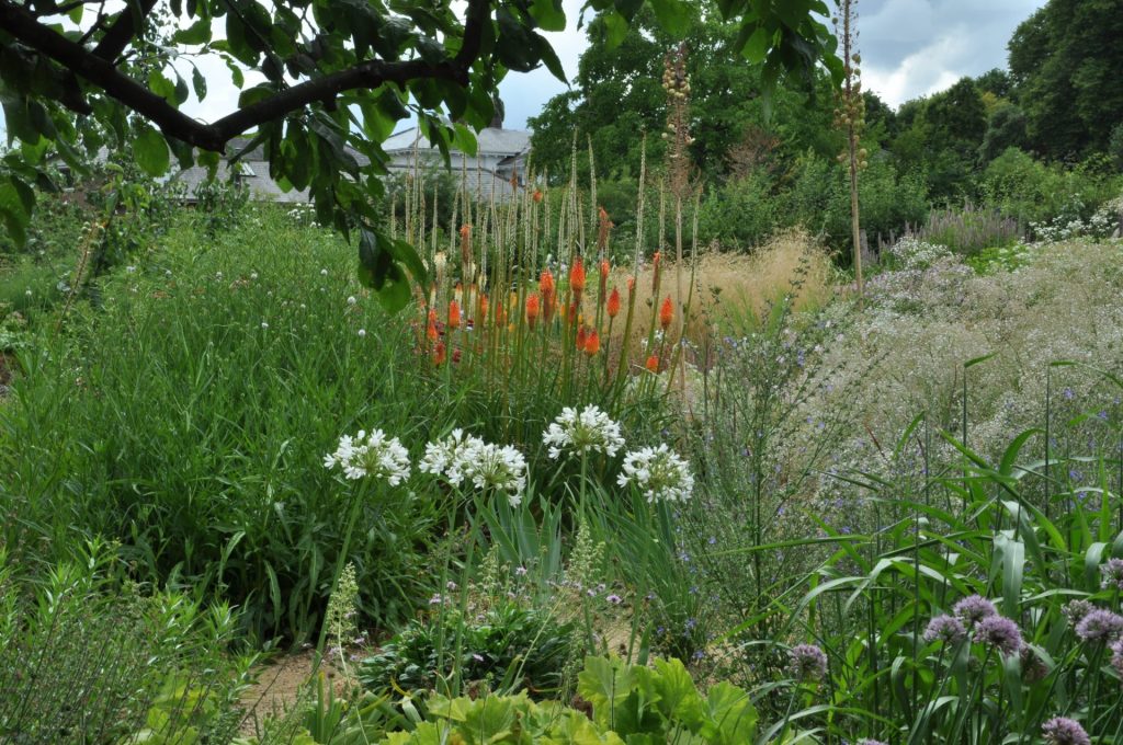 groei en bloei tuin en natuur (4)