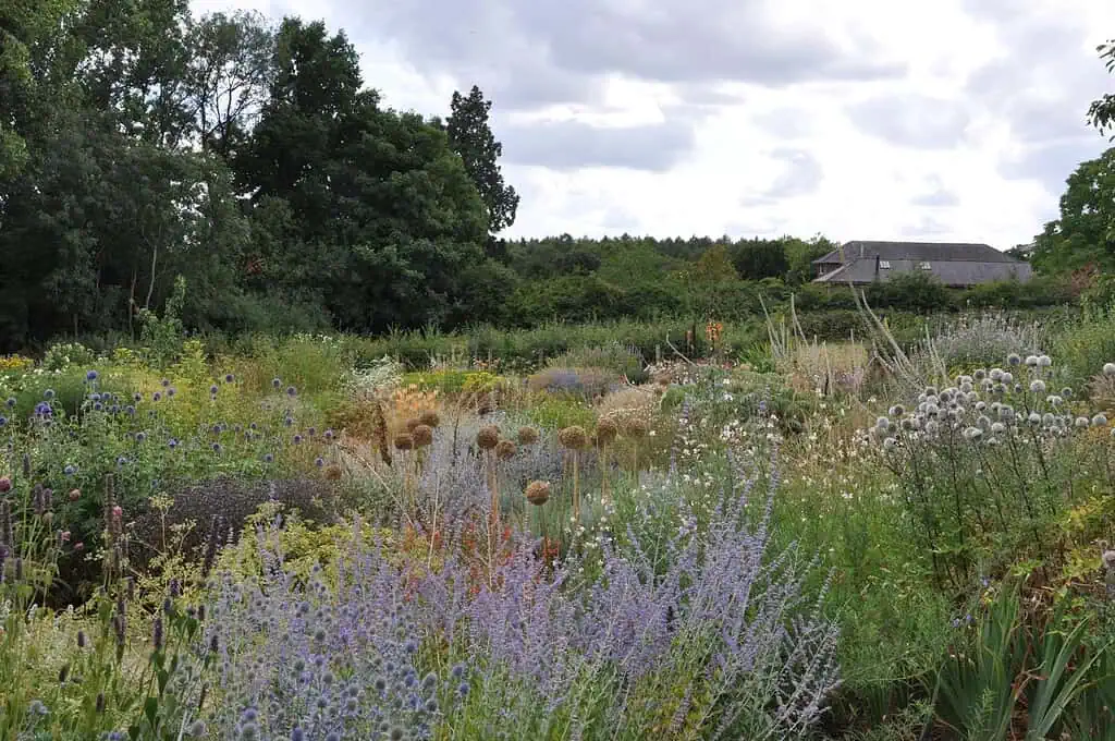 Een kleurrijke, dichtbegroeide tuin vol verschillende bloeiende planten en grassen toont groei & bloei tegen een achtergrond van bomen en een huis onder een bewolkte hemel.