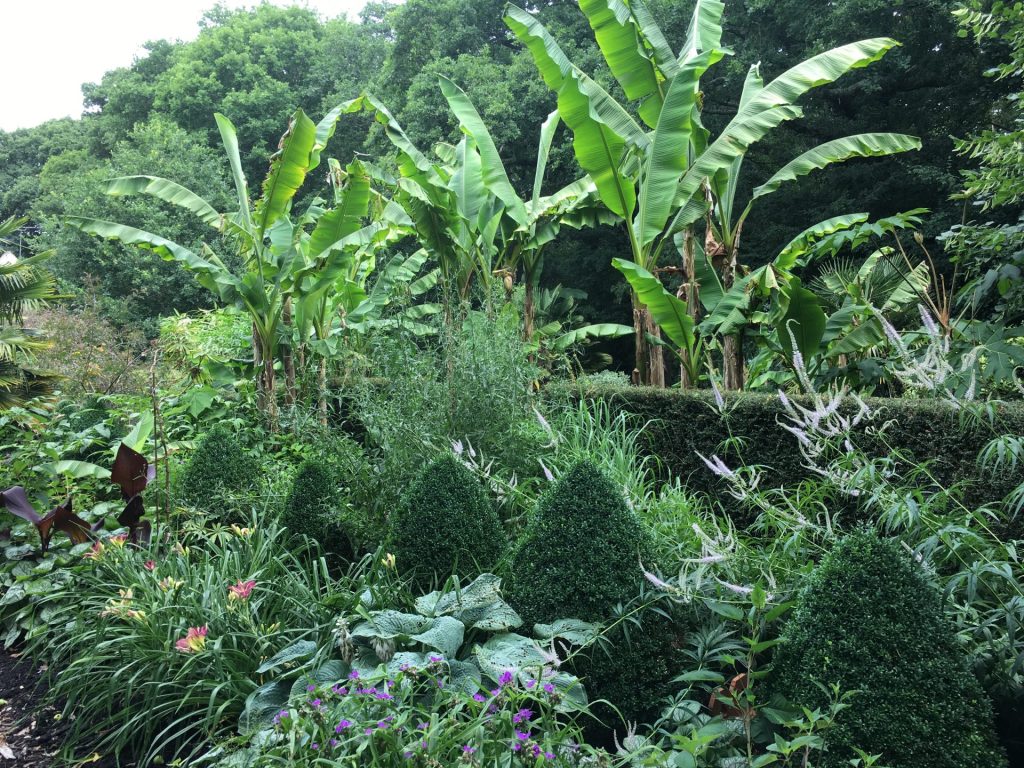 groei en bloei tuin en natuur (8)