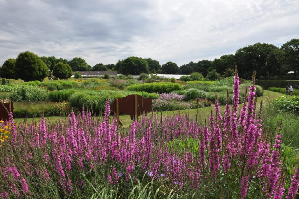 groei en bloei tuin en natuur (9)