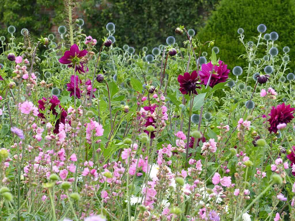 lake district – beatrix potter (11)