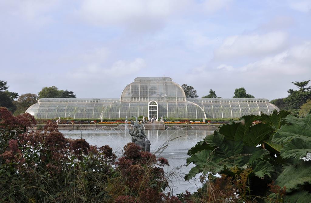 moestuin groei bloei (2)