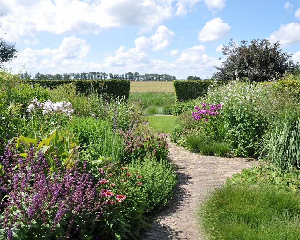 Een kronkelend stenen pad loopt door een weelderige tuin vol kleurrijke bloemen, hoge groene planten en struiken en leidt naar open velden onder een blauwe hemel met verspreide witte wolken.
