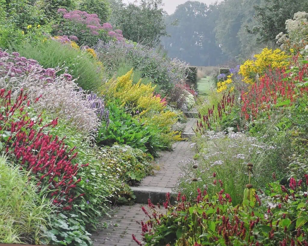 Een weelderig tuinpad omringd door levendige bloemen in rood-, geel-, roze- en paarstinten, met dicht groen gebladerte aan weerszijden en bomen op de achtergrond.